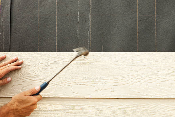 Affordable Siding Repair and Maintenance Services in Tangerine, FL